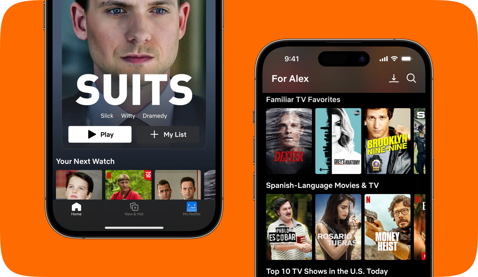 Netflix Premium_big